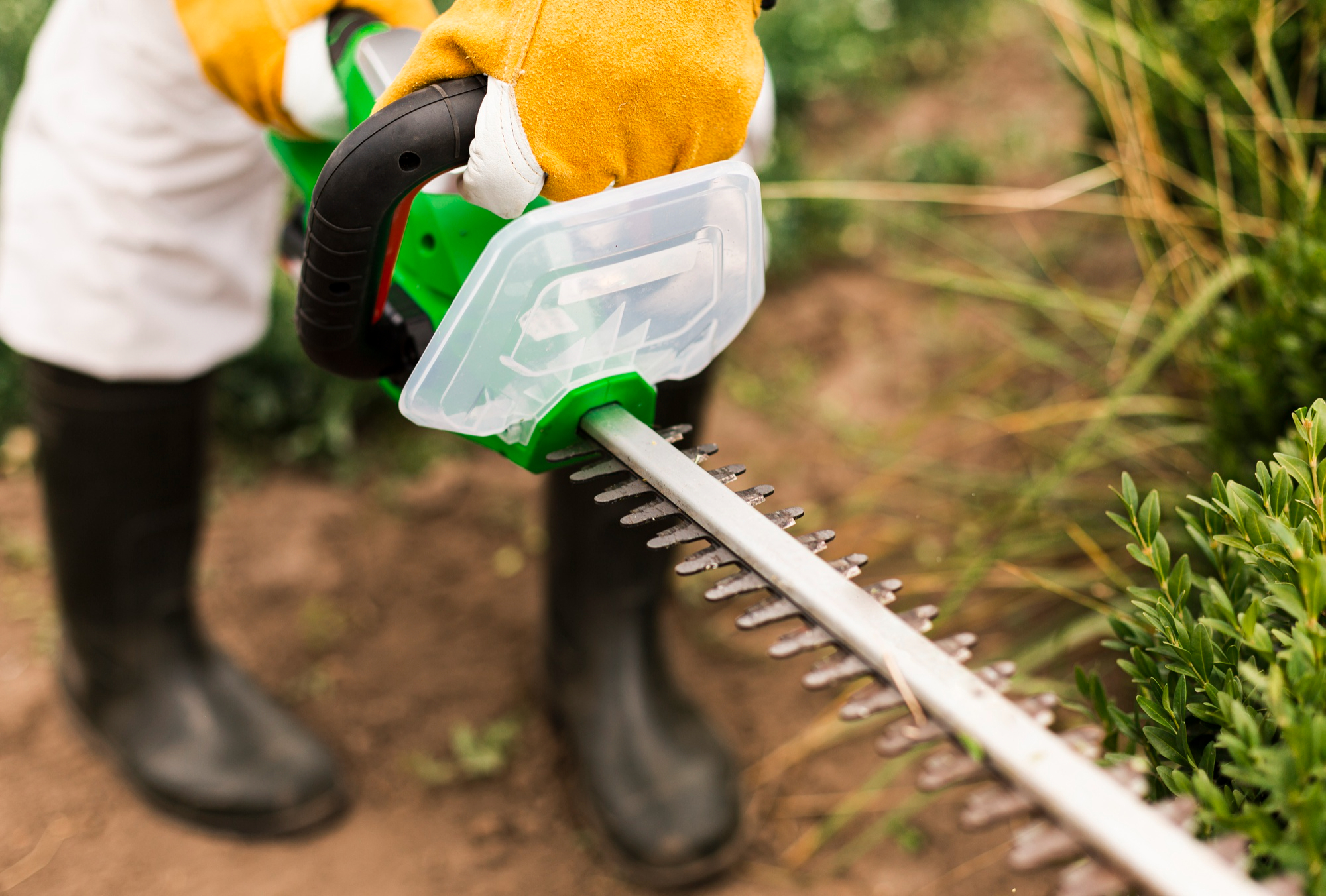 Remise en état jardin et débroussaillage - Débroussaillage de la végétation dense
